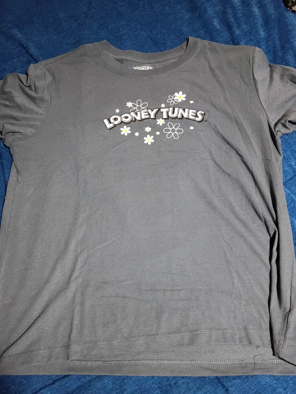 Warner Bros. Looney Tunes Graphic Tee in Charcoal Gray